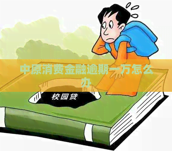 中原消费金融逾期一万怎么办
