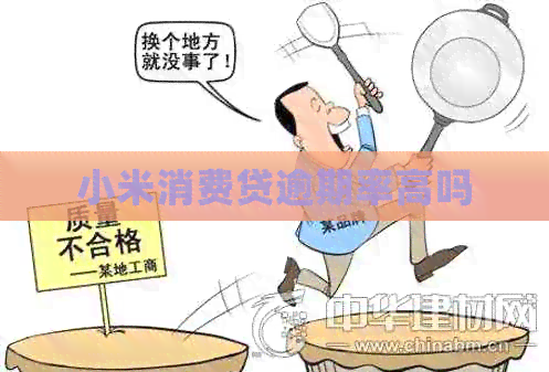 小米消费贷逾期率高吗