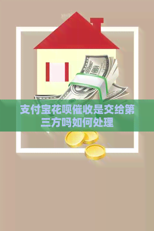 支付宝花呗是交给第三方吗如何处理
