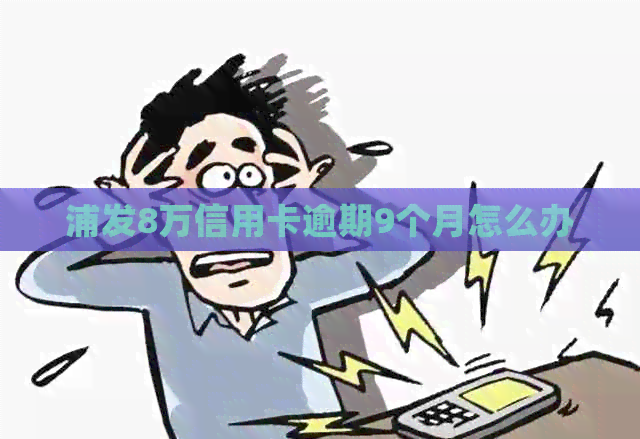 浦发8万信用卡逾期9个月怎么办