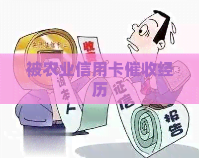 被农业信用卡经历