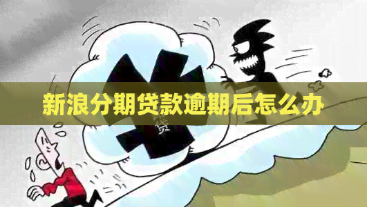 新浪分期贷款逾期后怎么办