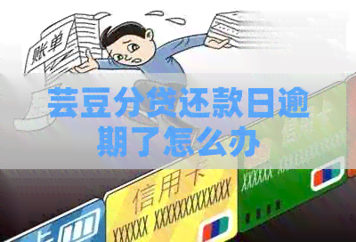 芸豆分贷还款日逾期了怎么办