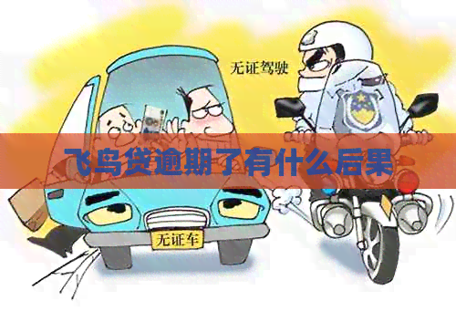 飞鸟贷逾期了有什么后果