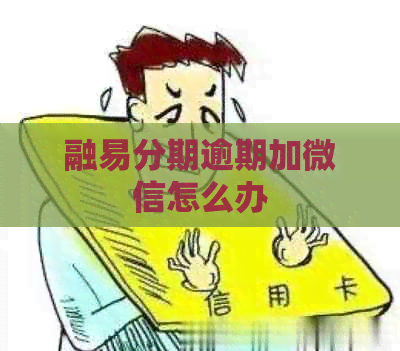 融易分期逾期加微信怎么办