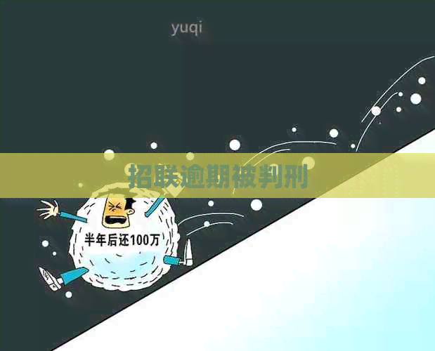 招联逾期被判刑
