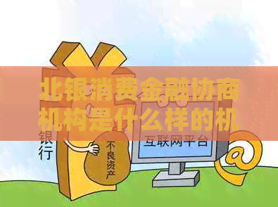 北银消费金融协商机构是什么样的机构