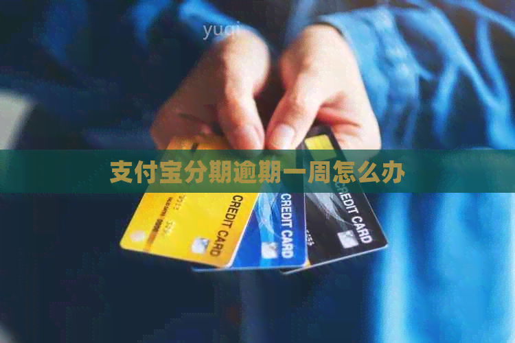 支付宝分期逾期一周怎么办