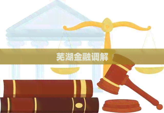 芜湖金融调解
