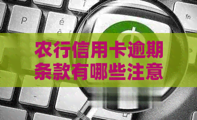 农行信用卡逾期条款有哪些注意事项