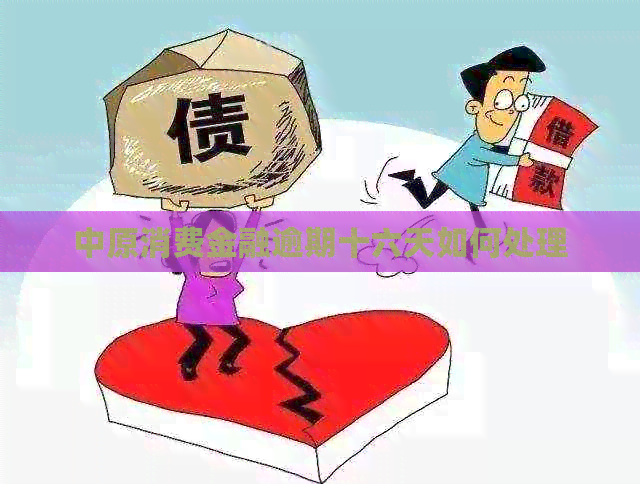中原消费金融逾期十六天如何处理