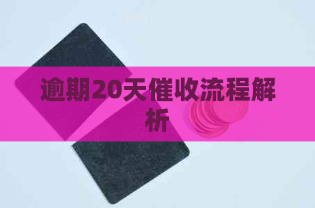 逾期20天流程解析