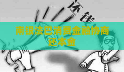 南银法巴消费金融协商还本金