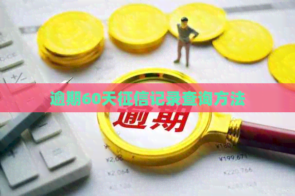 逾期60天记录查询方法