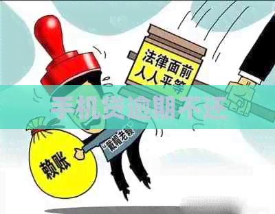 手机贷逾期不还