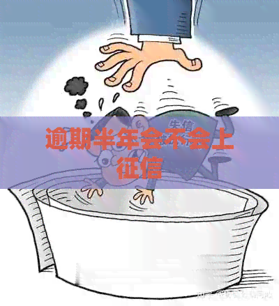 逾期半年会不会上