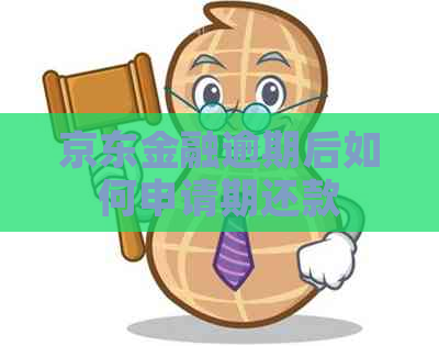 京东金融逾期后如何申请期还款