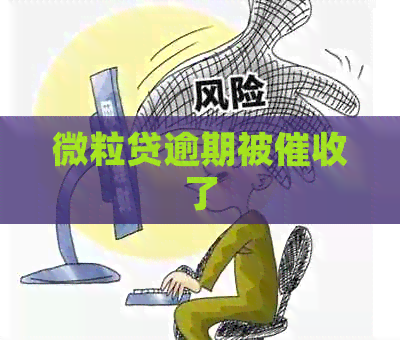 微粒贷逾期被了