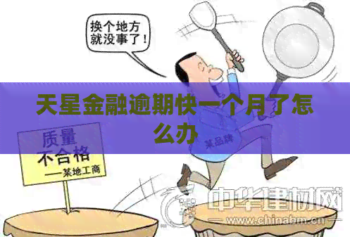天星金融逾期快一个月了怎么办