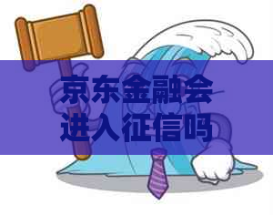 京东金融会进入吗