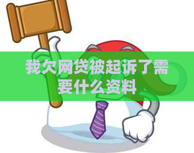 我欠网贷被起诉了需要什么资料