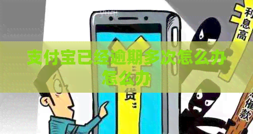 支付宝已经逾期多次怎么办怎么办