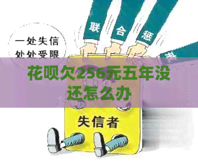 花呗欠256元五年没还怎么办