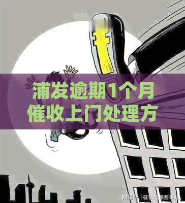 浦发逾期1个月上门处理方式