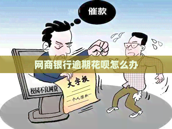 网商银行逾期花呗怎么办
