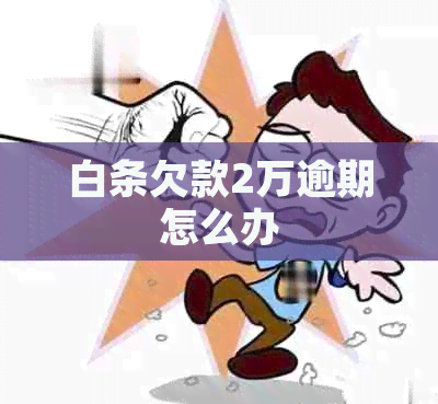 白条欠款2万逾期怎么办