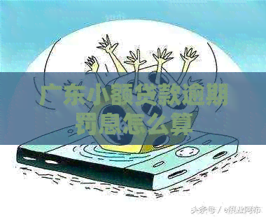 广东小额贷款逾期罚息怎么算