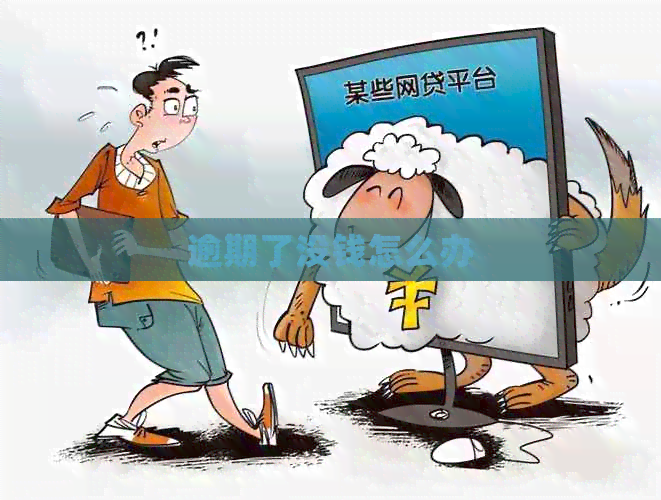 逾期了没钱怎么办