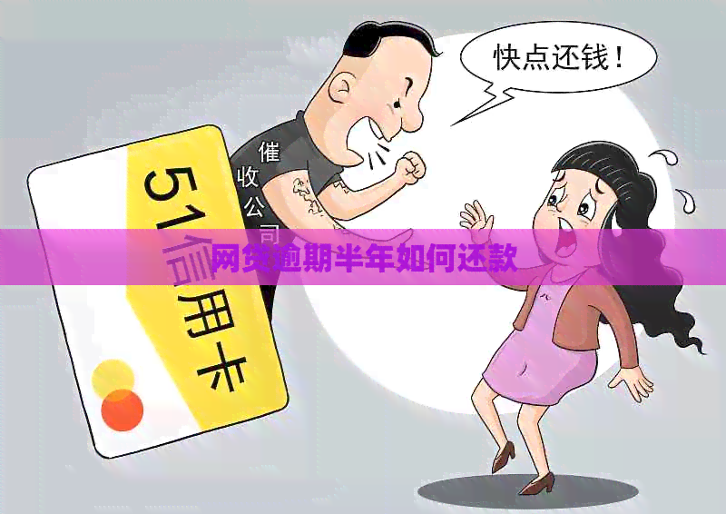 网贷逾期半年如何还款