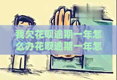 我欠花呗逾期一年怎么办花呗逾期一年怎么处理