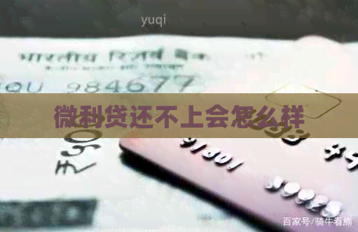 微利贷还不上会怎么样