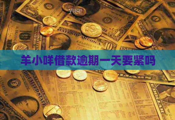羊小咩借款逾期一天要紧吗