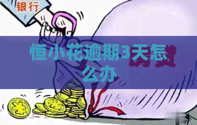 恒小花逾期3天怎么办