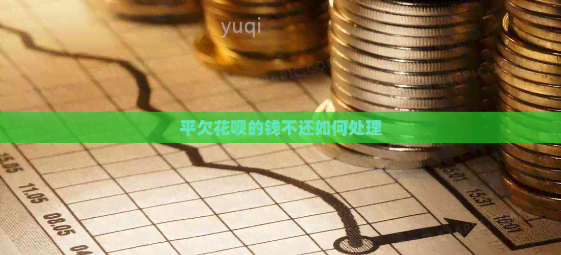 平欠花呗的钱不还如何处理