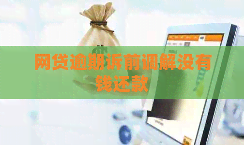 网贷逾期诉前调解没有钱还款