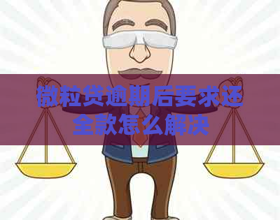 微粒贷逾期后要求还全款怎么解决