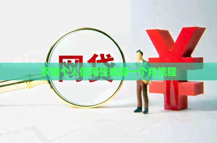 农商个人信用贷逾期一个月流程
