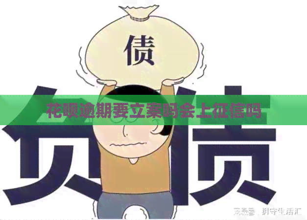 花呗逾期要立案吗会上吗