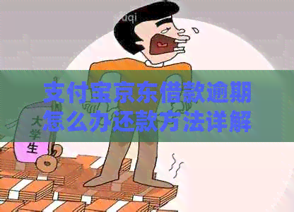 支付宝京东借款逾期怎么办还款方法详解