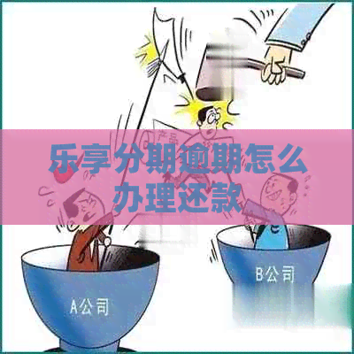 乐享分期逾期怎么办理还款