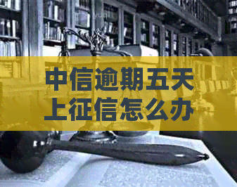 中信逾期五天上怎么办理
