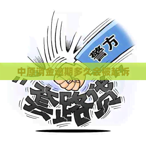 中原消金逾期多久会被起诉