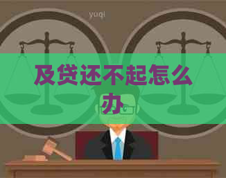 及贷还不起怎么办