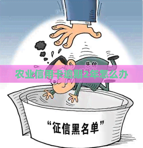 农业信用卡逾期2年怎么办