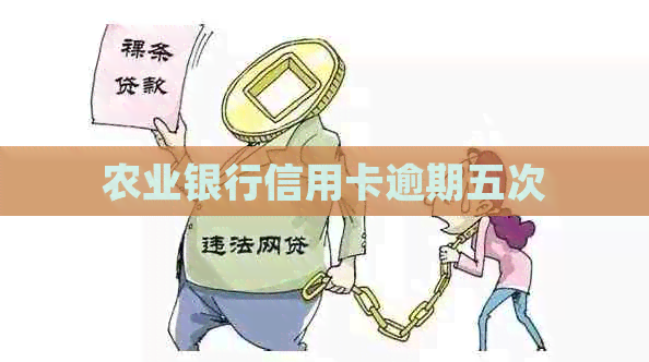 农业银行信用卡逾期五次