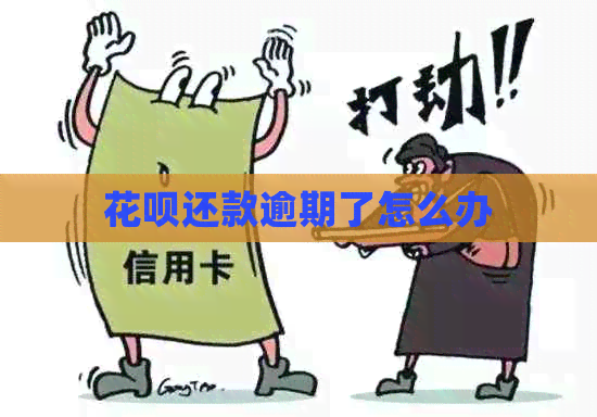 花呗还款逾期了怎么办